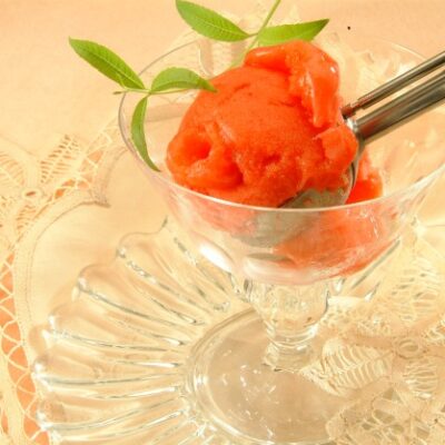 sorbet