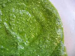 spinach-pesto