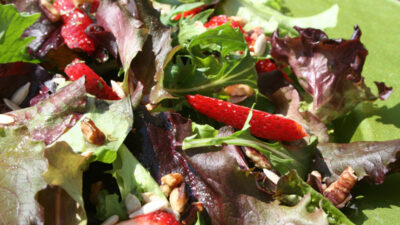 Springtime Salad with Maple Vinaigrette