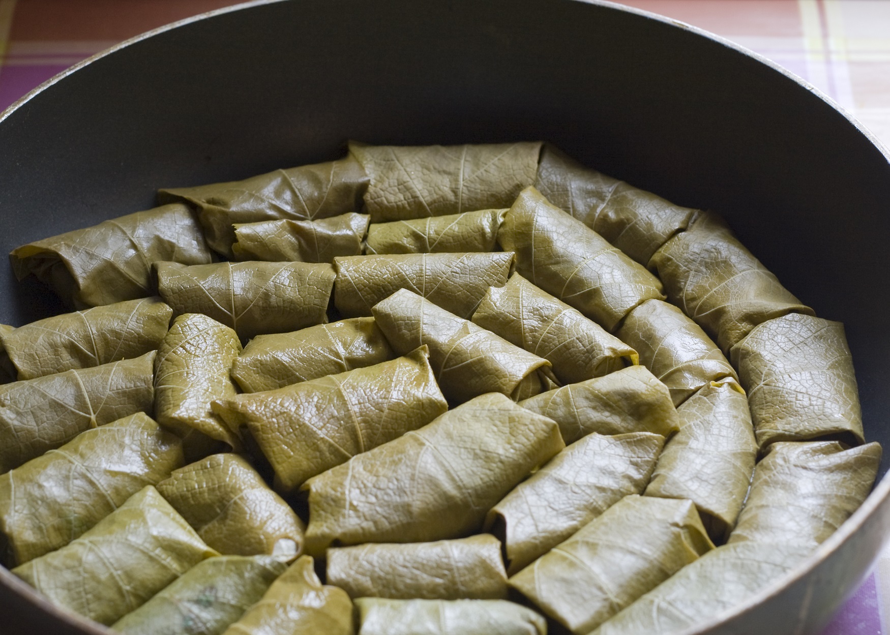 stuffed grape leaves