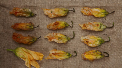 stuffed squash blossoms