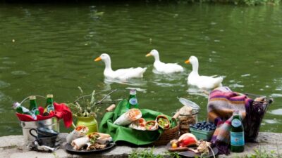 Summer Picnic JoyofKosher
