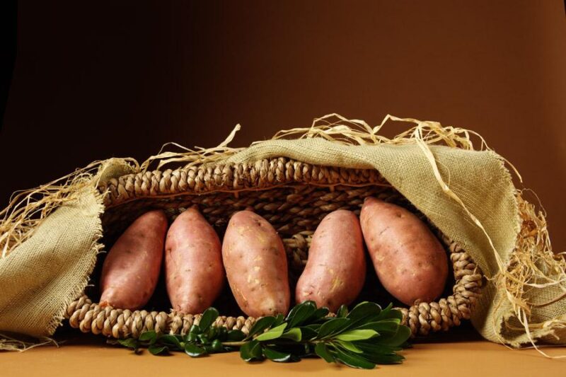 Sweet Potato Medley