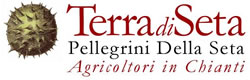 terra-di-seta