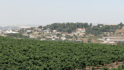 TheLand_Kerembz