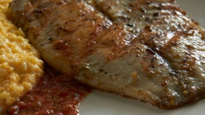 tilapia