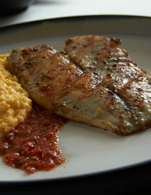 tilapia