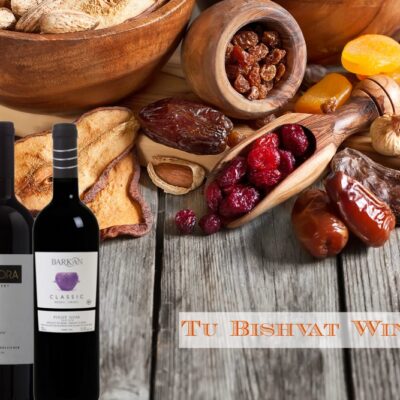 tu bishvat wine