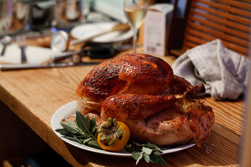 turkey1