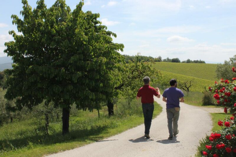 tuscany 1