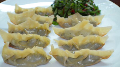 VegetableGyoza (1).JPG