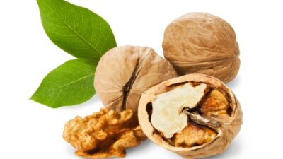 walnuts