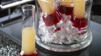 Watermelon and Grapefruit Shooters