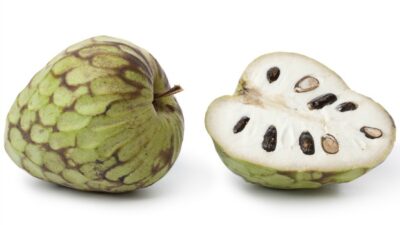 what is a cherimoya