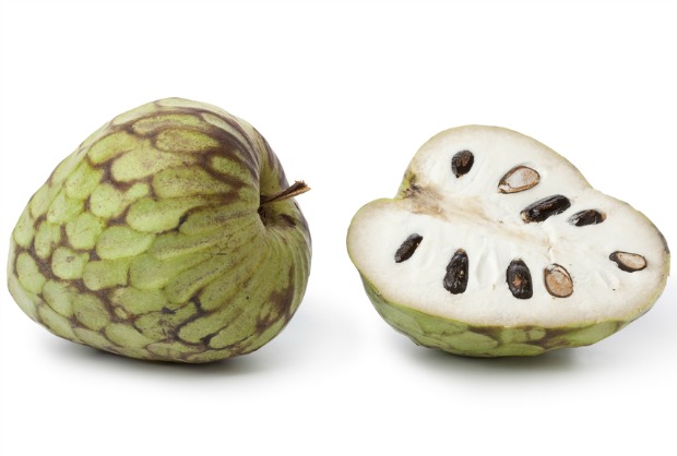 what is a cherimoya