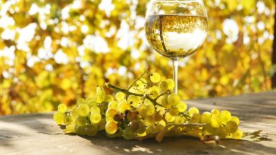 white wine glass