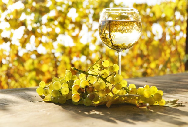 white wine glass