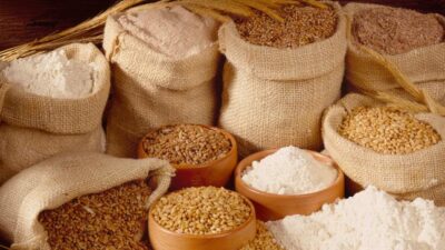 Whole Wheat Flour