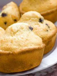 Wild Blueberry Corn Muffins
