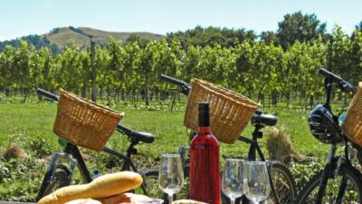 wine picnic