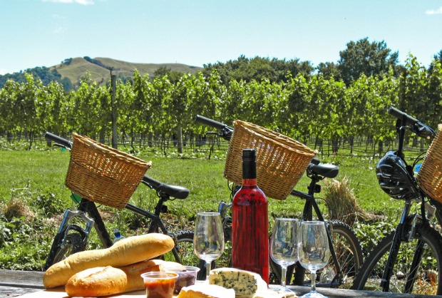 wine picnic