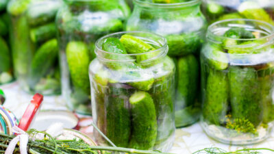 Crunchy Kosher Pickles