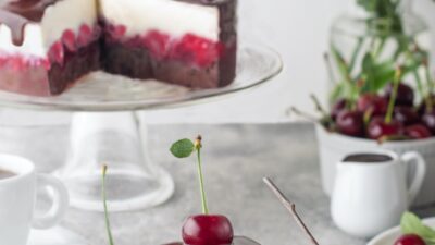 Lemon Cherry Chocolate Sorbet Cake