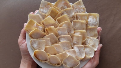 wontons homemade